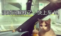 老司机视频在线观看,揭秘驾驶技巧与安全驾驶之道