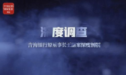 反腐视频,揭秘反腐视频背后的故事